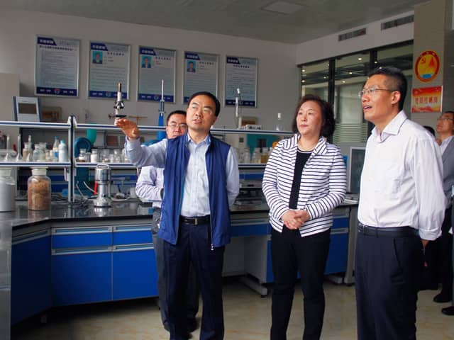 济宁市政协副主席倪丽君莅临世界杯信誉买球机械调研指导工作